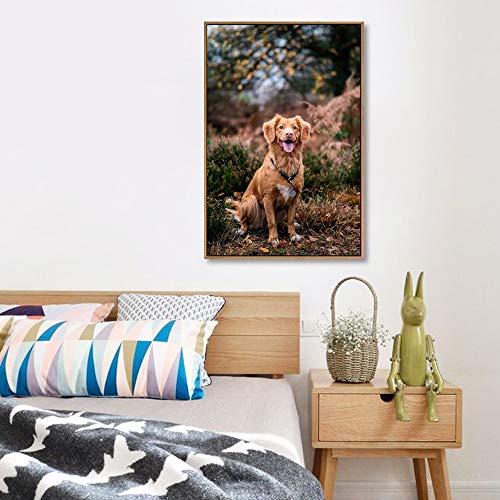 Custom Framed Canvas Prints with Your Photo for Pets