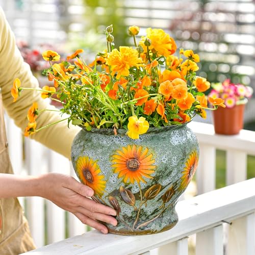 9 Inch Hand Painted Ceramic Succulent Plant Pots