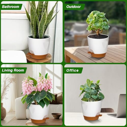 5 Pack Plant Pots with Drainage 7 (5 Count)