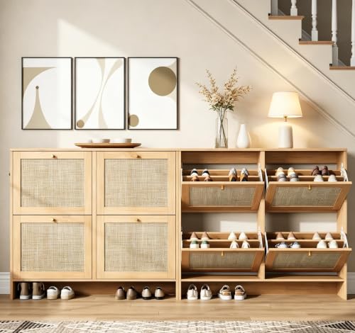 Modern Rattan Shoe Cabinet