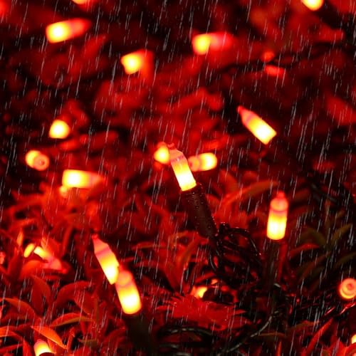 Orange Halloween Lights (21.3 Foot)