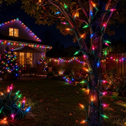 Outdoor Christmas Lights (20 Foot)