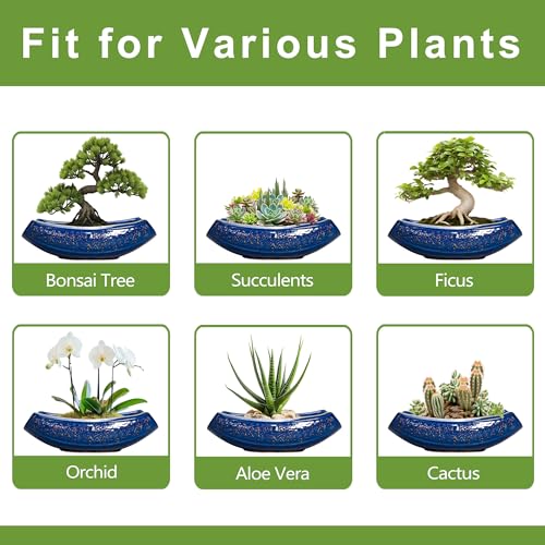 Bonsai Pots 18 Inch Large Ceramic Succulent Pots for Indoor Outdoor