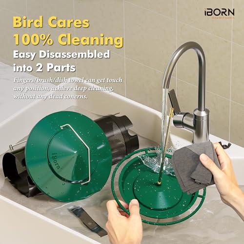 Bird Feeders for Outdoors