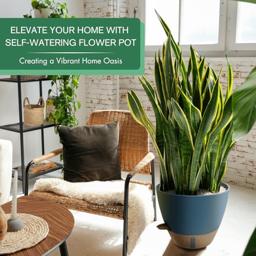 2 Pack 10 inch Plant Pots (2 Count)