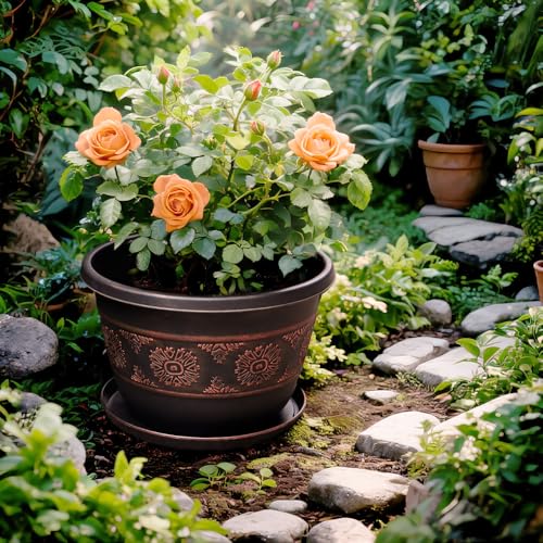 12 Inch Plant Pots (4 Count)