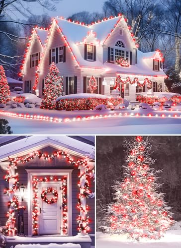 Outdoor Christmas Lights (50 Count)