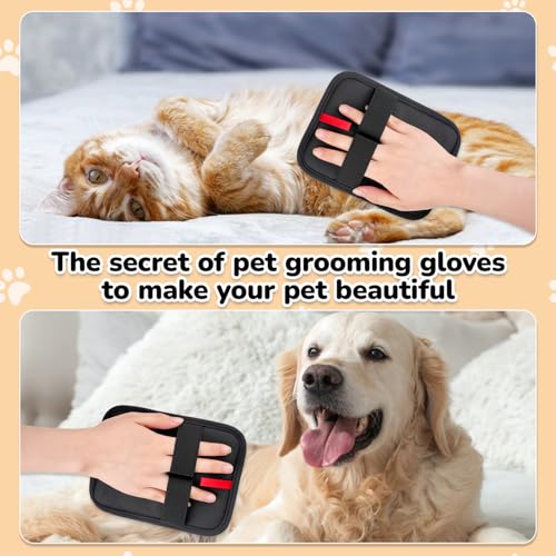 Pet Hair Remover