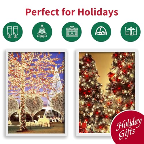 Red Warm Valentine's String Lights Indoor Outdoor Waterproof (100 Count)