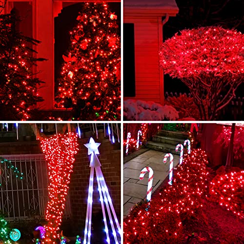 Green Wire Red 300 Incandescent Mini Bulb String Lights for Indoor Christmas Tree Garland Birthday Wedding Party Festival Decoration (300 Count)