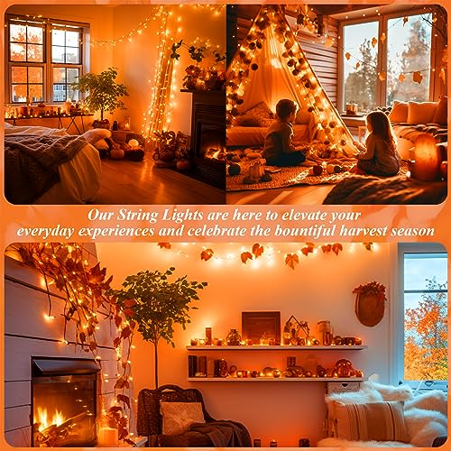 200 LED Orange Halloween Lights Outdoor Indoor Fall Lights Plug in (66 Foot)