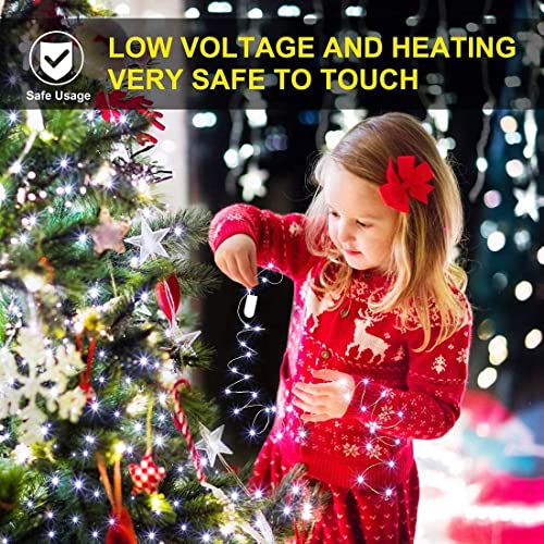14 Pack Fairy Lights Battery Operated (14 Count)