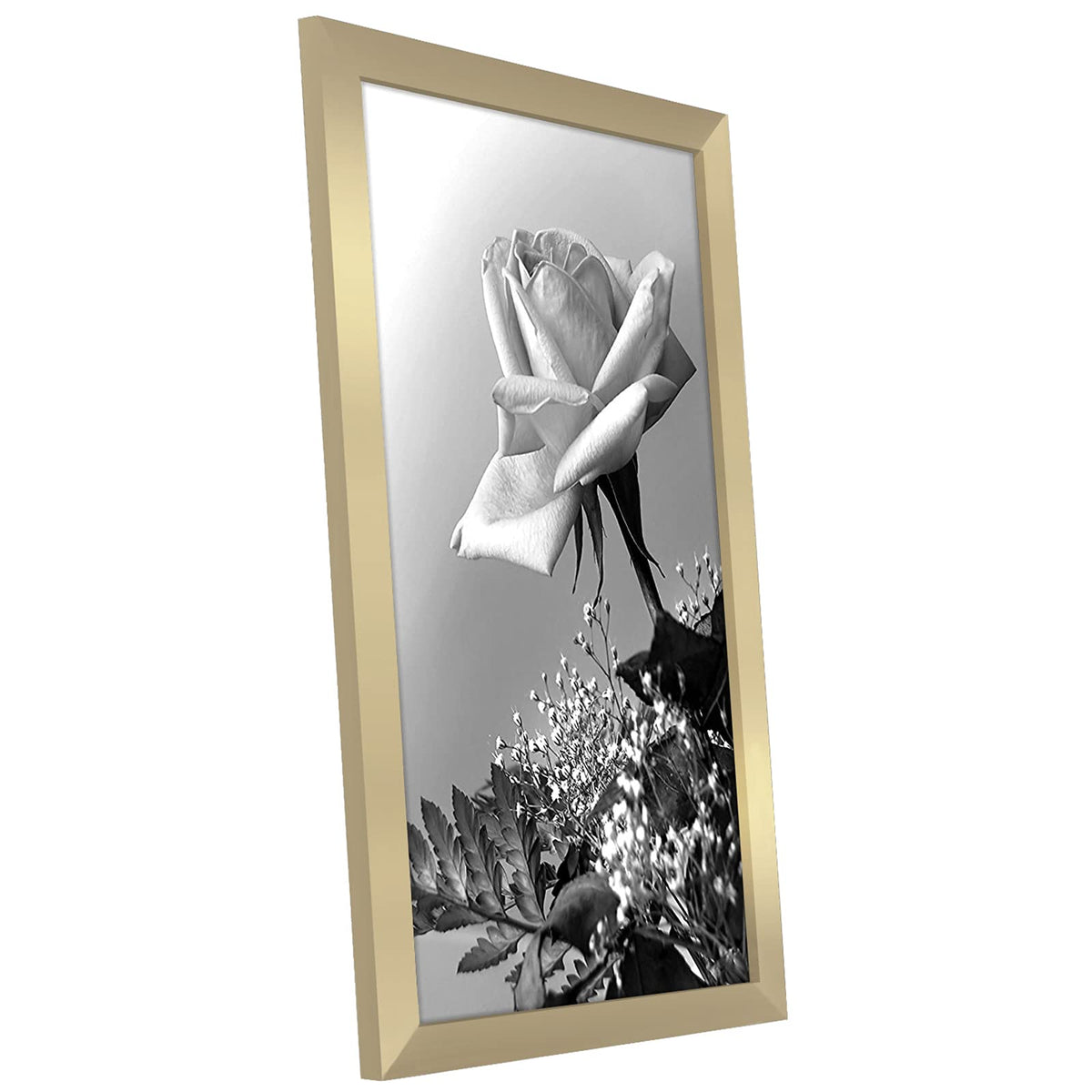 12x18 Poster Frame