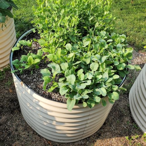 32" Tall 42" Round Raised Garden Bed Raised Bed Planter Box for Vegetables Flowers Patio