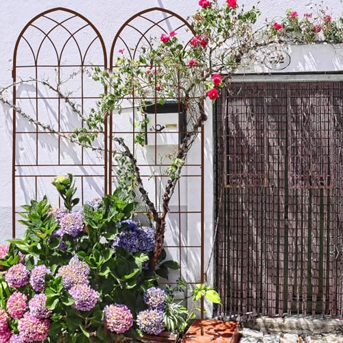 71 x 40in Rustic Iron Arch Decoration Garden Trellis with Metal Coating (2 Count)
