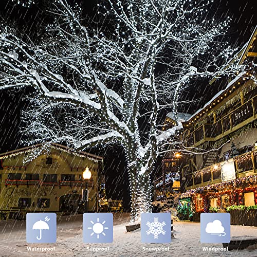 200 LED White Christmas Lights Outdoor (76.2 Foot)