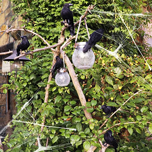 12 Pack Halloween Black Feathered Crows (12 Count)