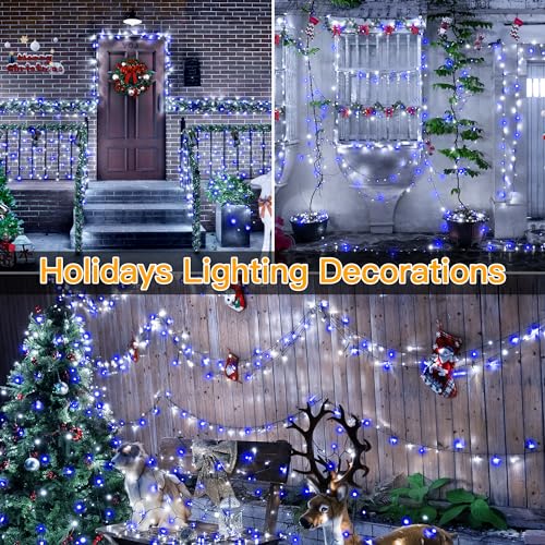 Christmas Lights (164 Foot)