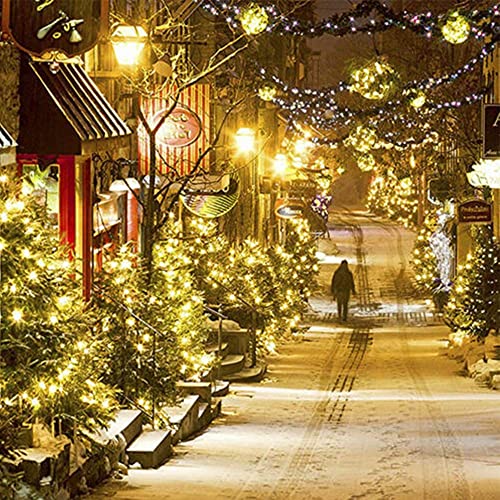 66ft Christmas Decorative Mini Lights (66 Foot)