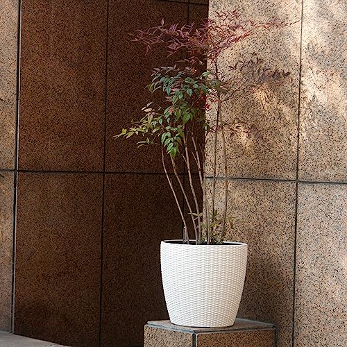 18x17 Self Watering Planter with Wheels