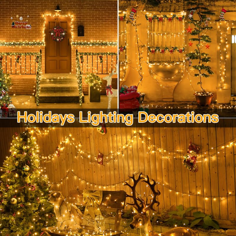 Christmas Lights (164 Foot)