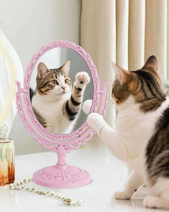 XPXKJ Pink Vintage Vanity Mirror Shabby Chic Decor | 360° Rotating Double-Sided Table Makeup Mirror with Stand Bedroom Decoration Perfect for Tabletop, Desk, Or Makeup Station