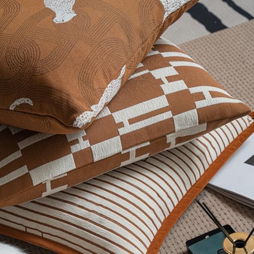 Throw Pillow Cushion Cover