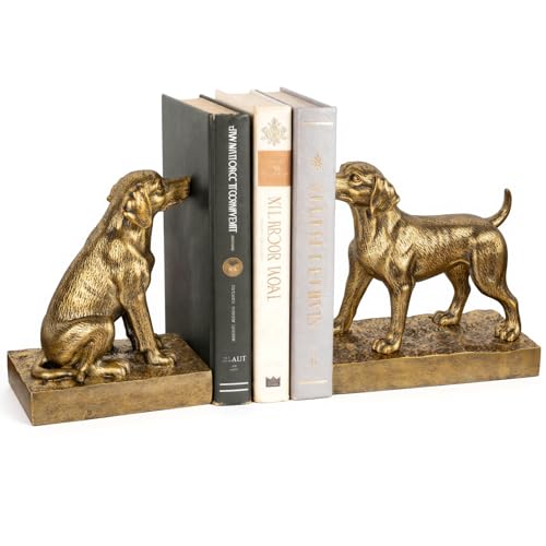 Decorative Bookends for Shelves