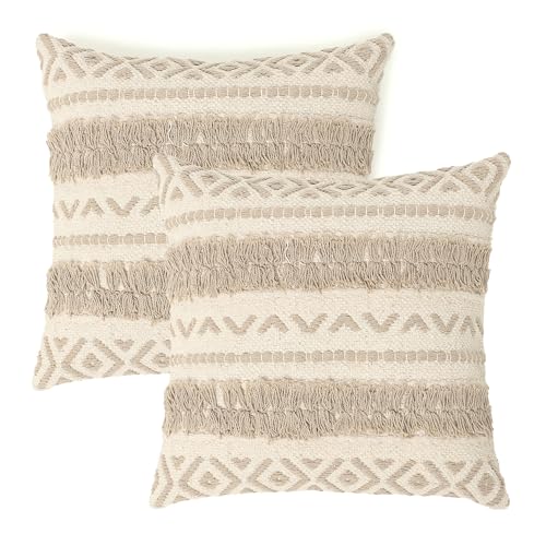 Throw Pillow Cases