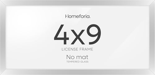 4x9 Silver Business License Frame (2 Count)