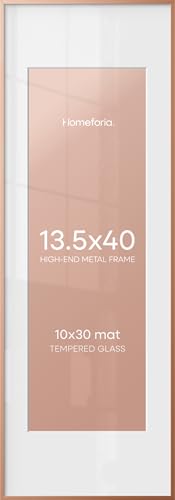 13.5x40 Rose Picture Frame
