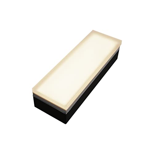 Paver Light 3x9 Inch