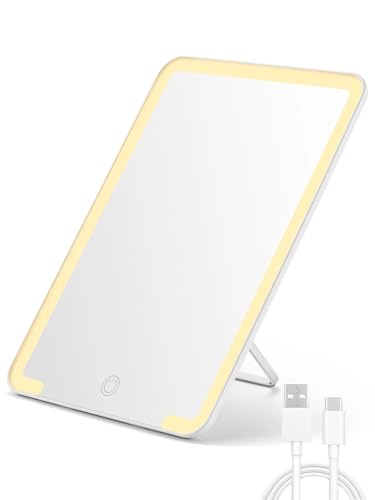 10 x 7 in Lighted Makeup Mirror
