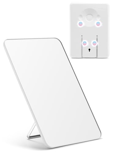 10 x 7 in Magnetic Locker Mirror