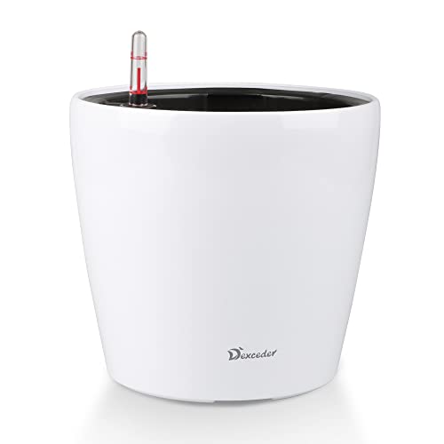 9x8 Self Watering Planter