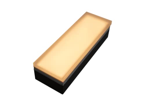 Paver Light 3x9 Inch