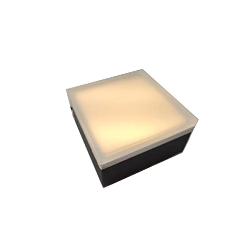 Paver Light 8x8 Inch