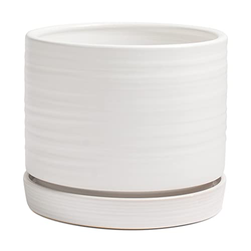 8 Inch Pots for Plants