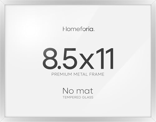 8.5x11 Silver Diploma Frame