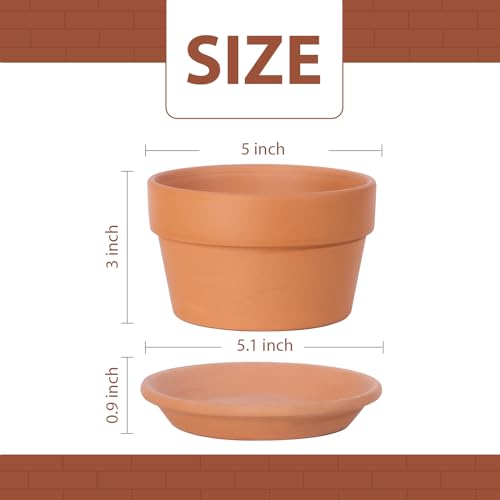 5 Inch Terracotta Shallow Pots Set with Saucer (6 Count)