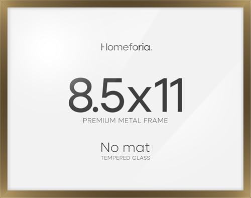 8.5x11 Bronze Diploma Frame