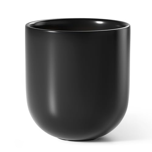 10 Inch Plant Pot