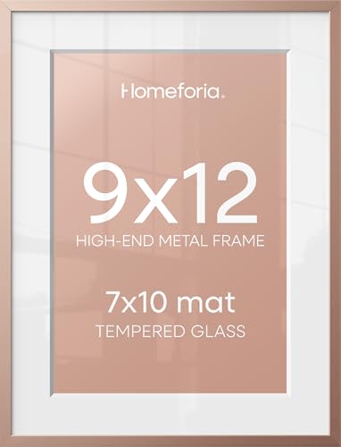 9x12 Rose Picture Frame (2 Count)