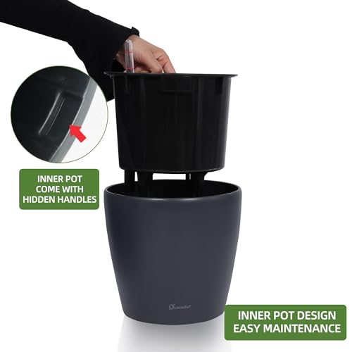 9x8 Self Watering Planter