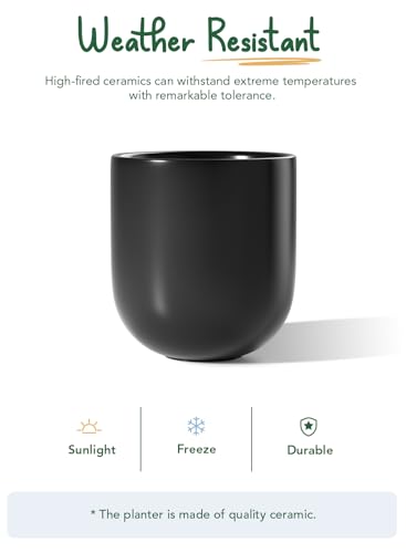 10 Inch Plant Pot