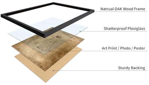 Classic Leonardo Da Vinci Poster