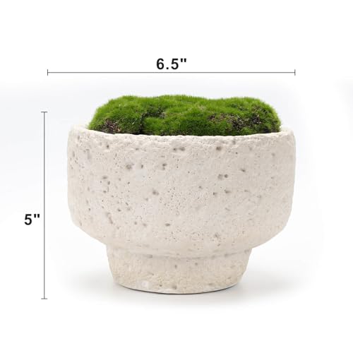 New Moss Bowl