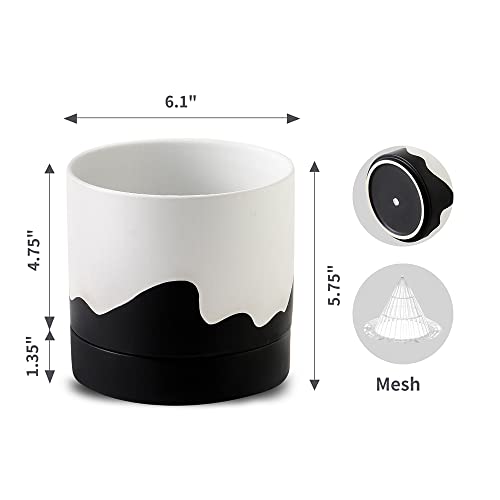 Ceramic Plant Pot