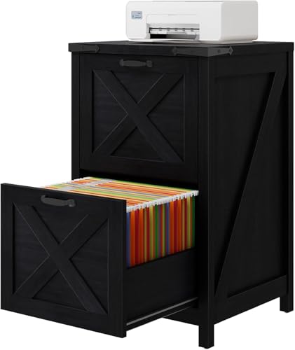 Vertical File Cabinet with 2 Drawers