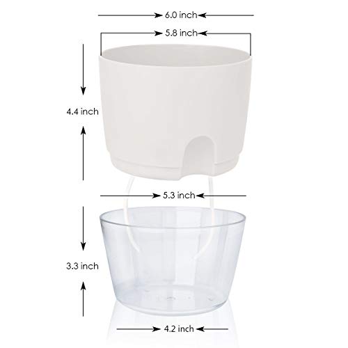 6 Inch Self Watering Pots for Indoor Plants African Violet Pots (3 Count)